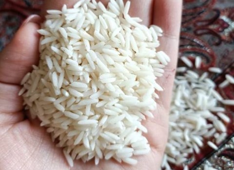 قیمت خرید برنج هاشمی محلی + فروش ویژه